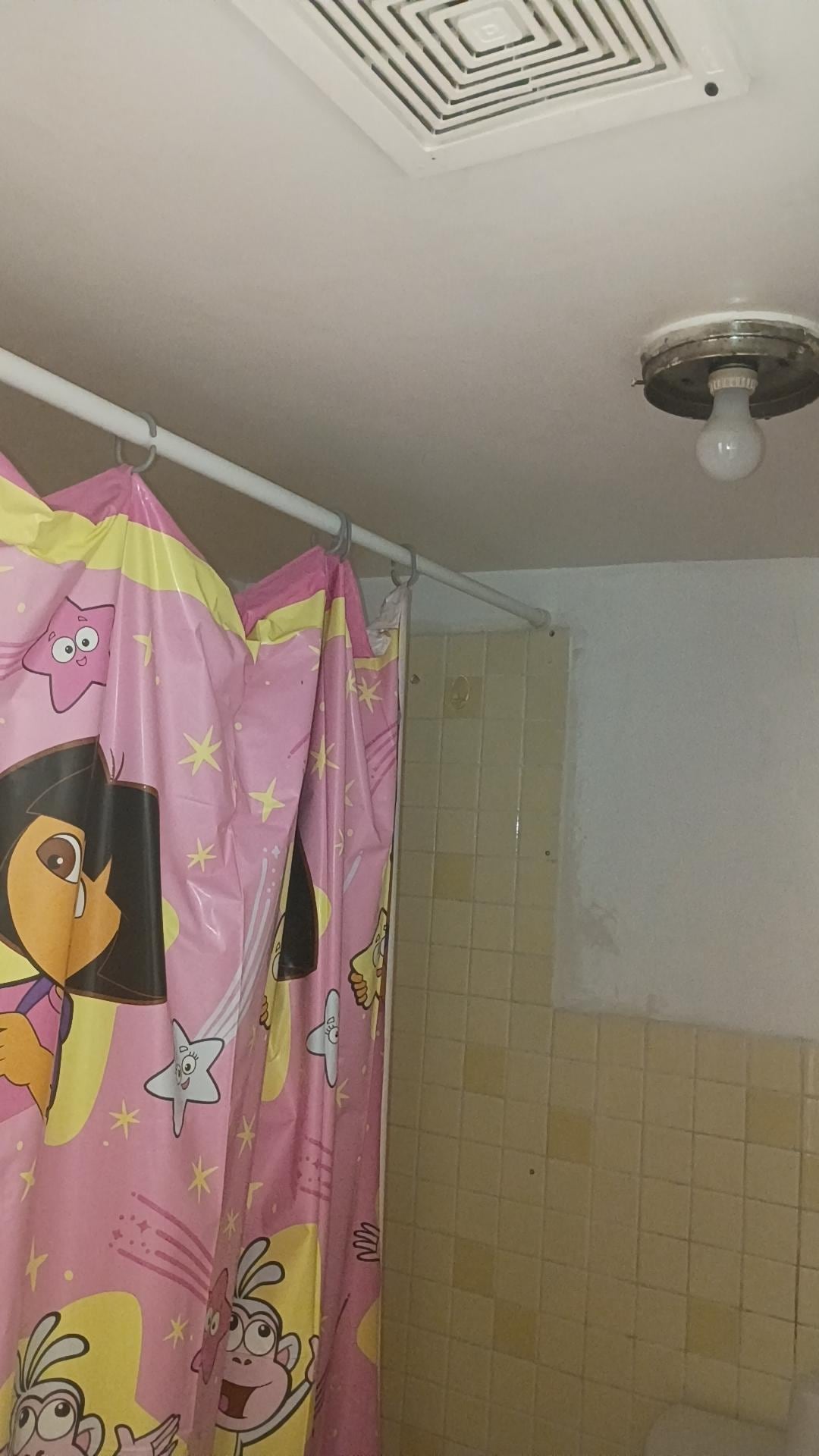 Dora the explorer shower curtain 