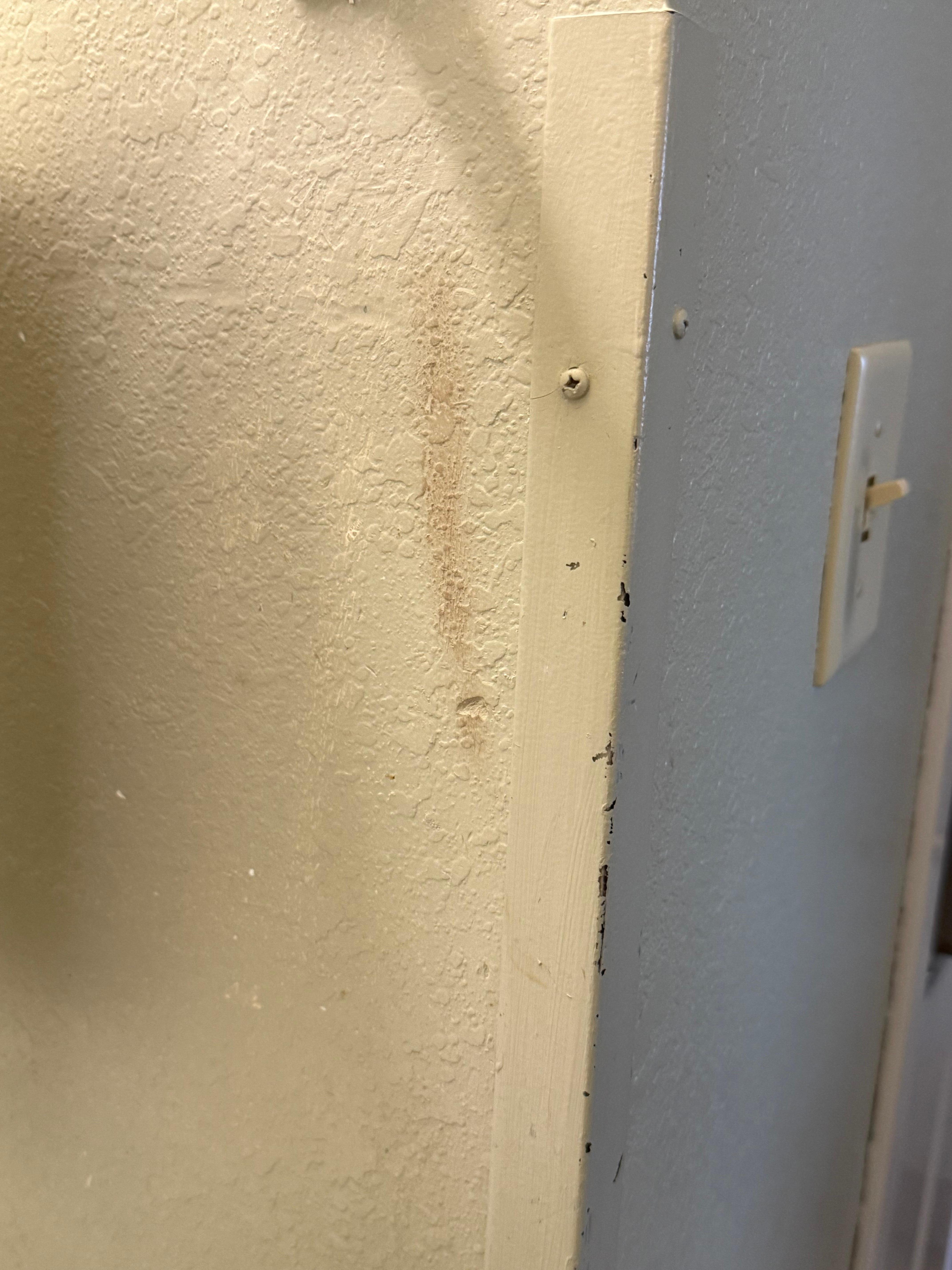 Smear of something on the bathroom wall.
