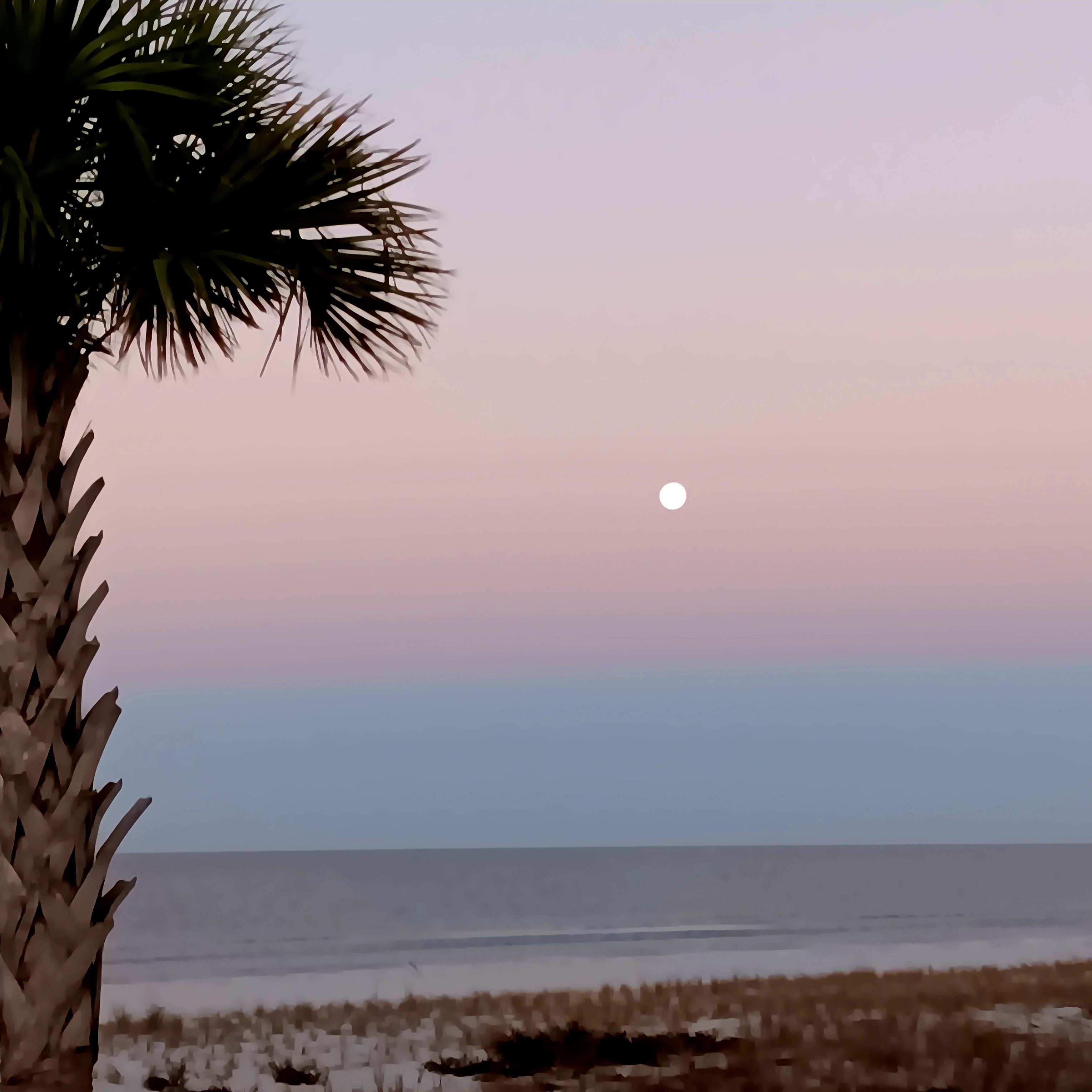 Beautiful view of the full moon.