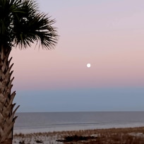 Beautiful view of the full moon.