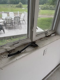 Cob web and fly covered grill cleaning brush