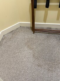 Primary closet - maybe mold? Has a strange smell