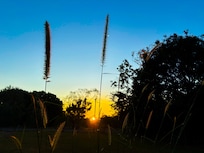 Outback Rural