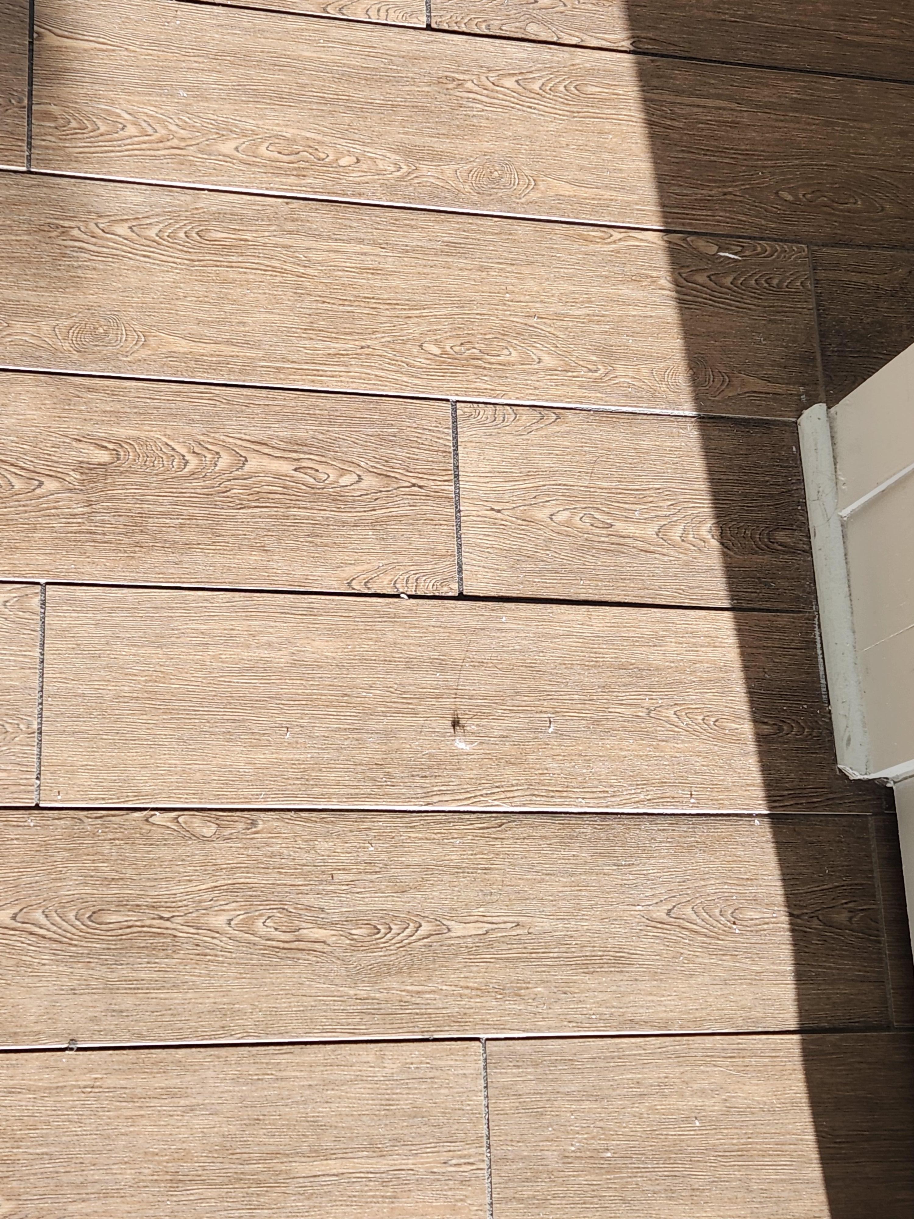 Hair and dust on the floor