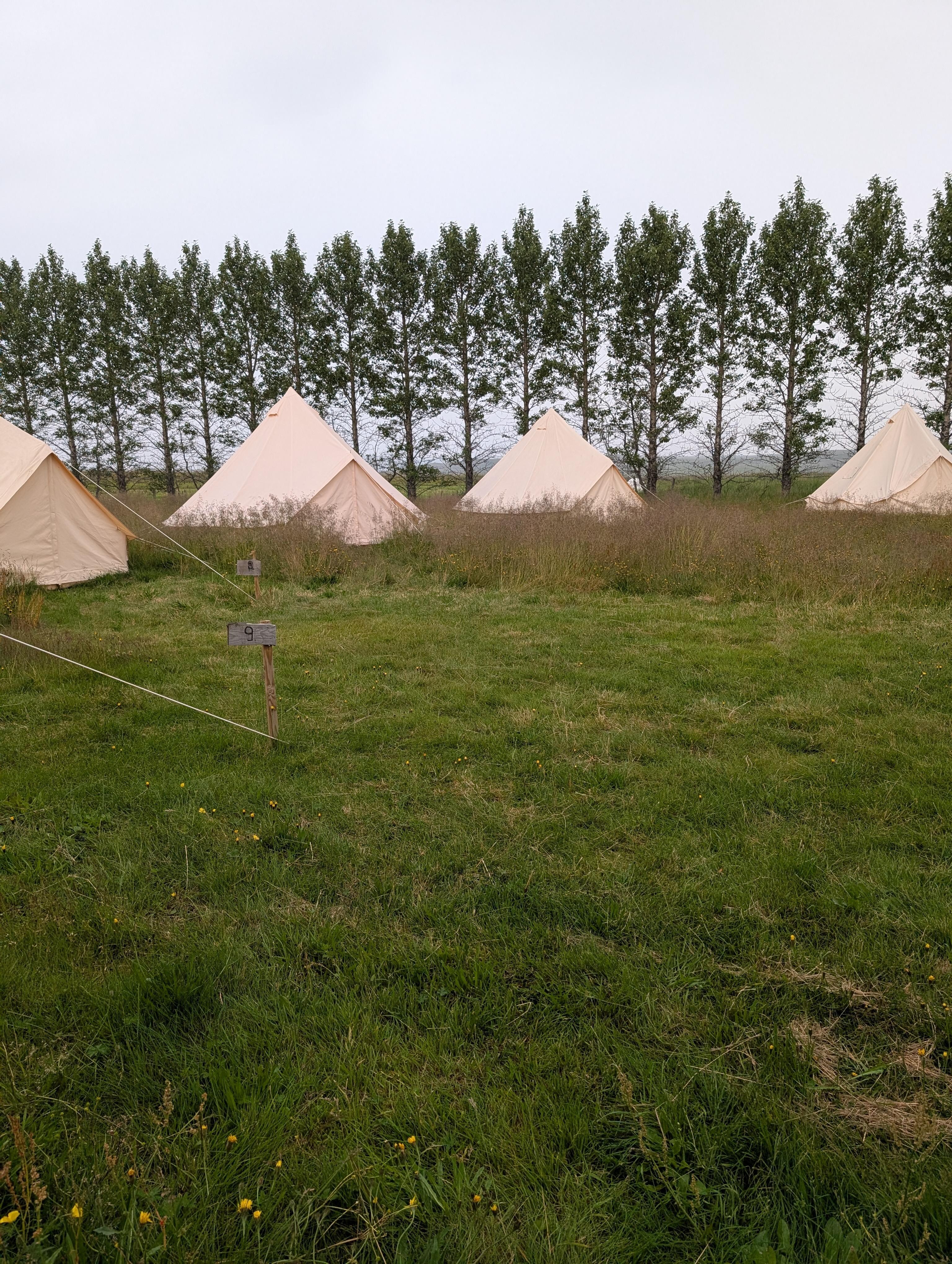 The tents are in a semicircle close to each other 