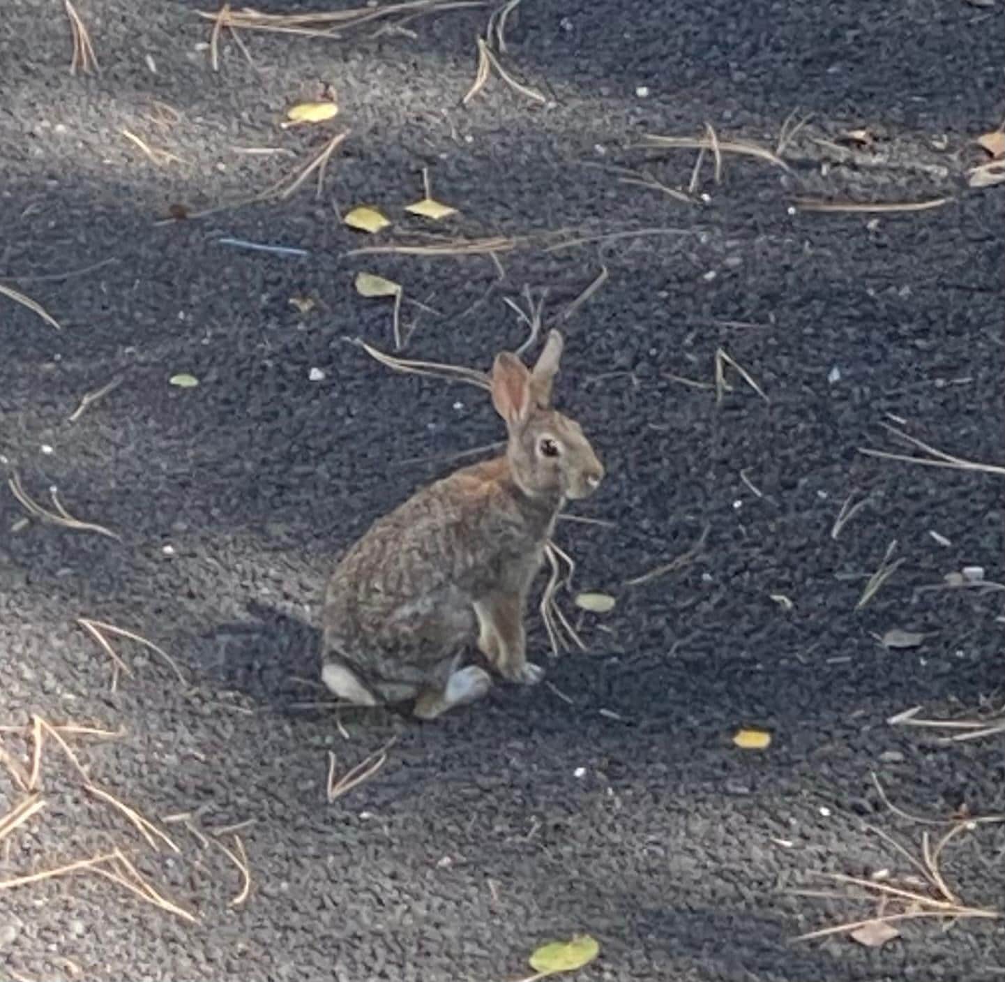 Part of the welcoming committee.