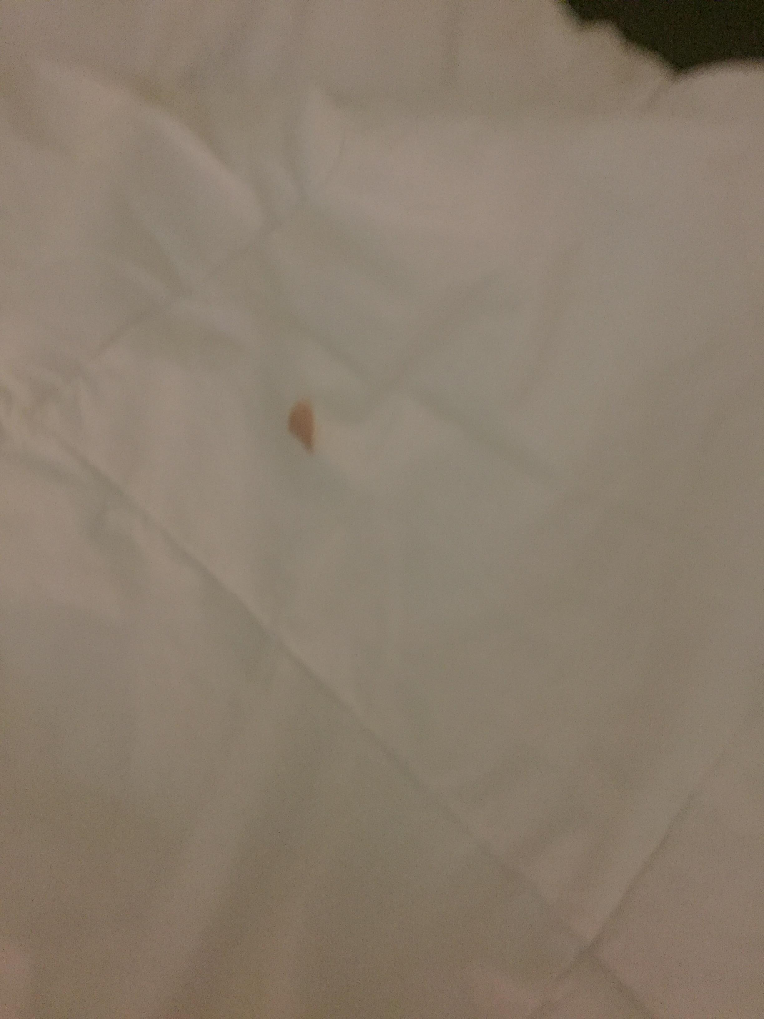 More of the blood