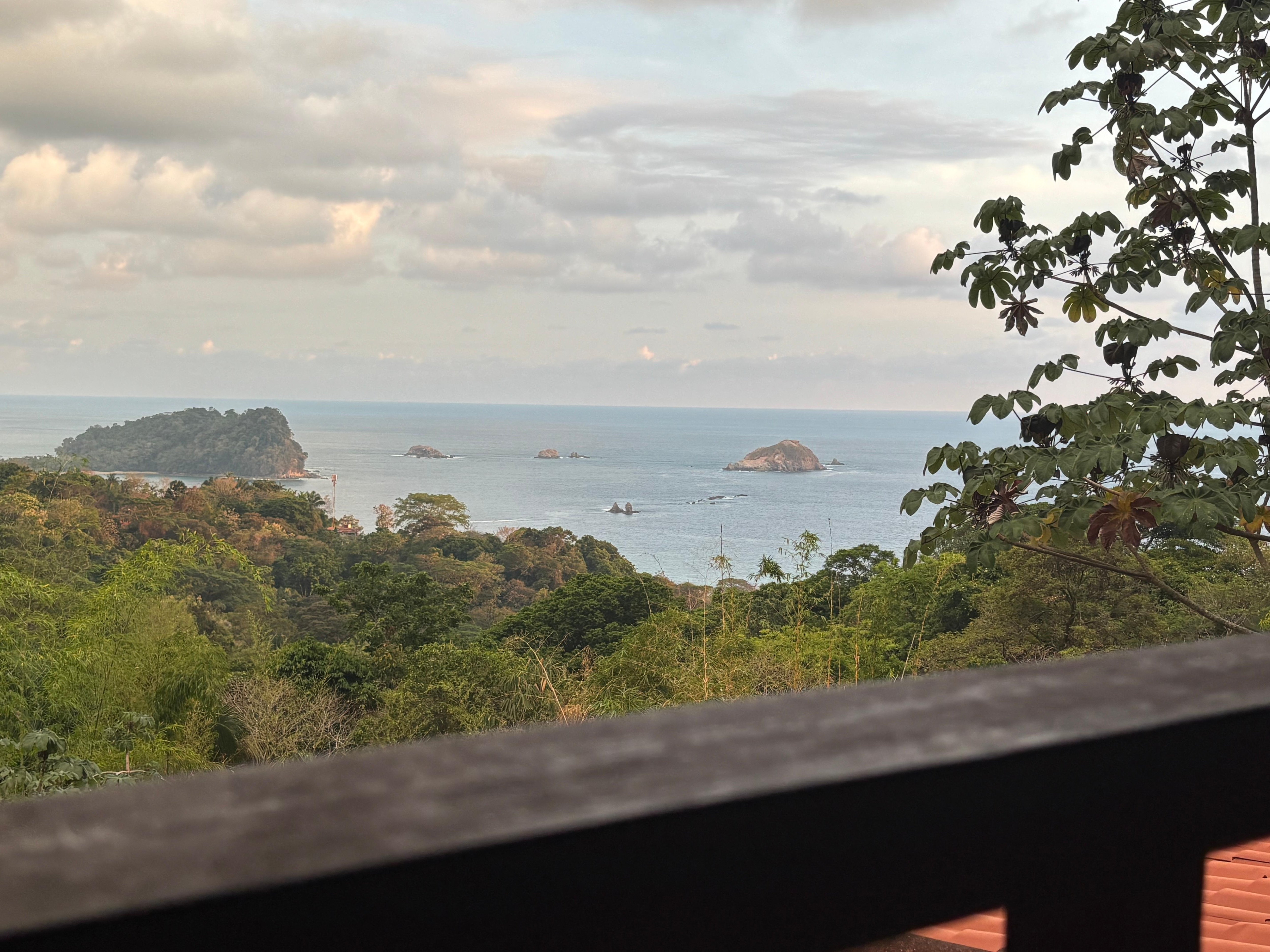 View from the hammock.