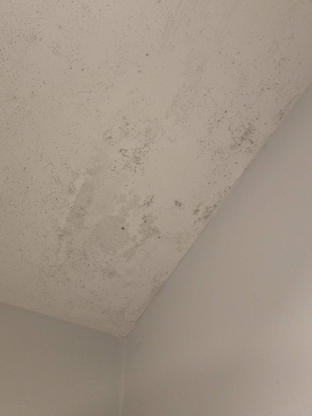 Mold on the bathroom ceiling, light fixture exposed with mold and filth. The tube was dirty so was the toilet.  It was so filthy.