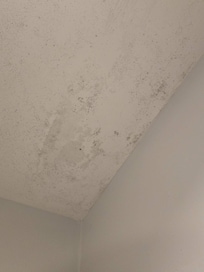 Mold on the bathroom ceiling, light fixture exposed with mold and filth. The tube was dirty so was the toilet.  It was so filthy.