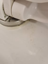 Disgusting Toilet