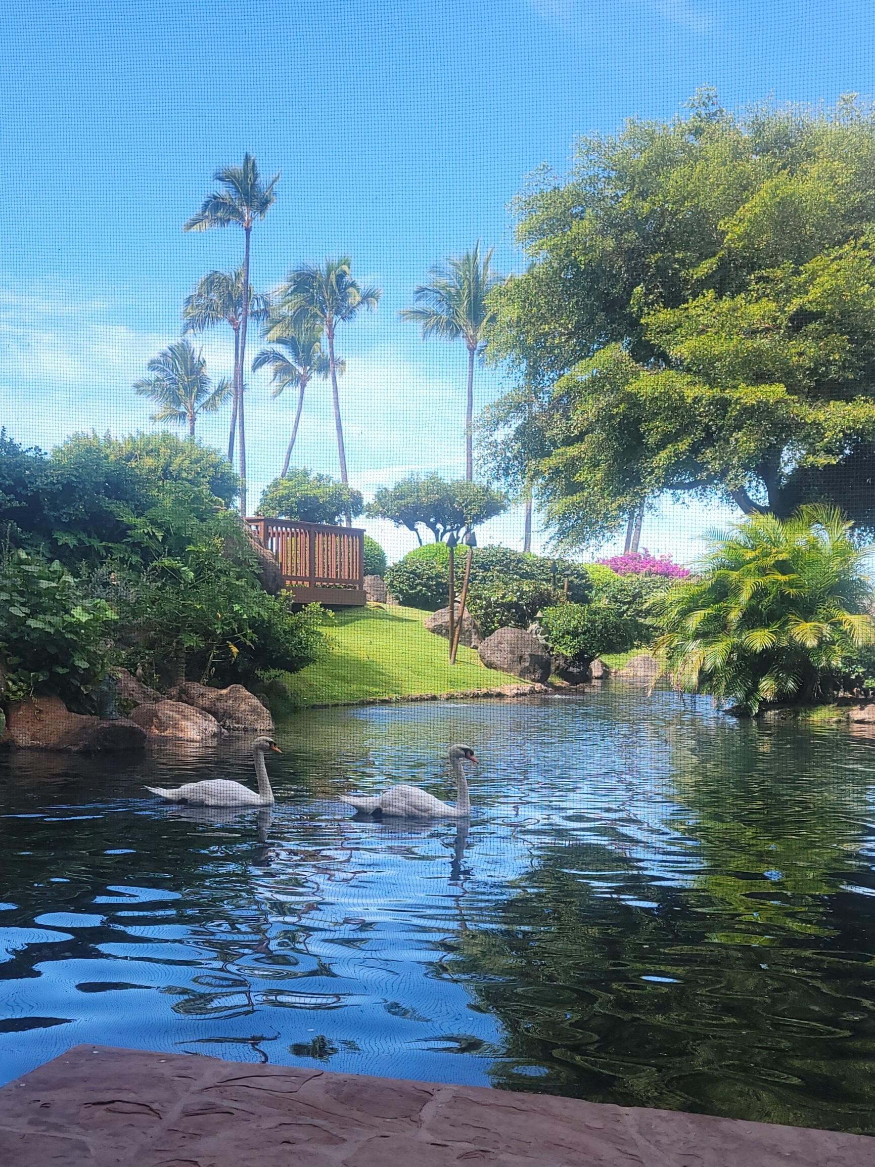 Beautiful grounds 