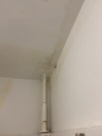 Room 430- Mold on bathroom ceiling.