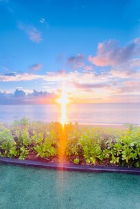 Sunset on beach