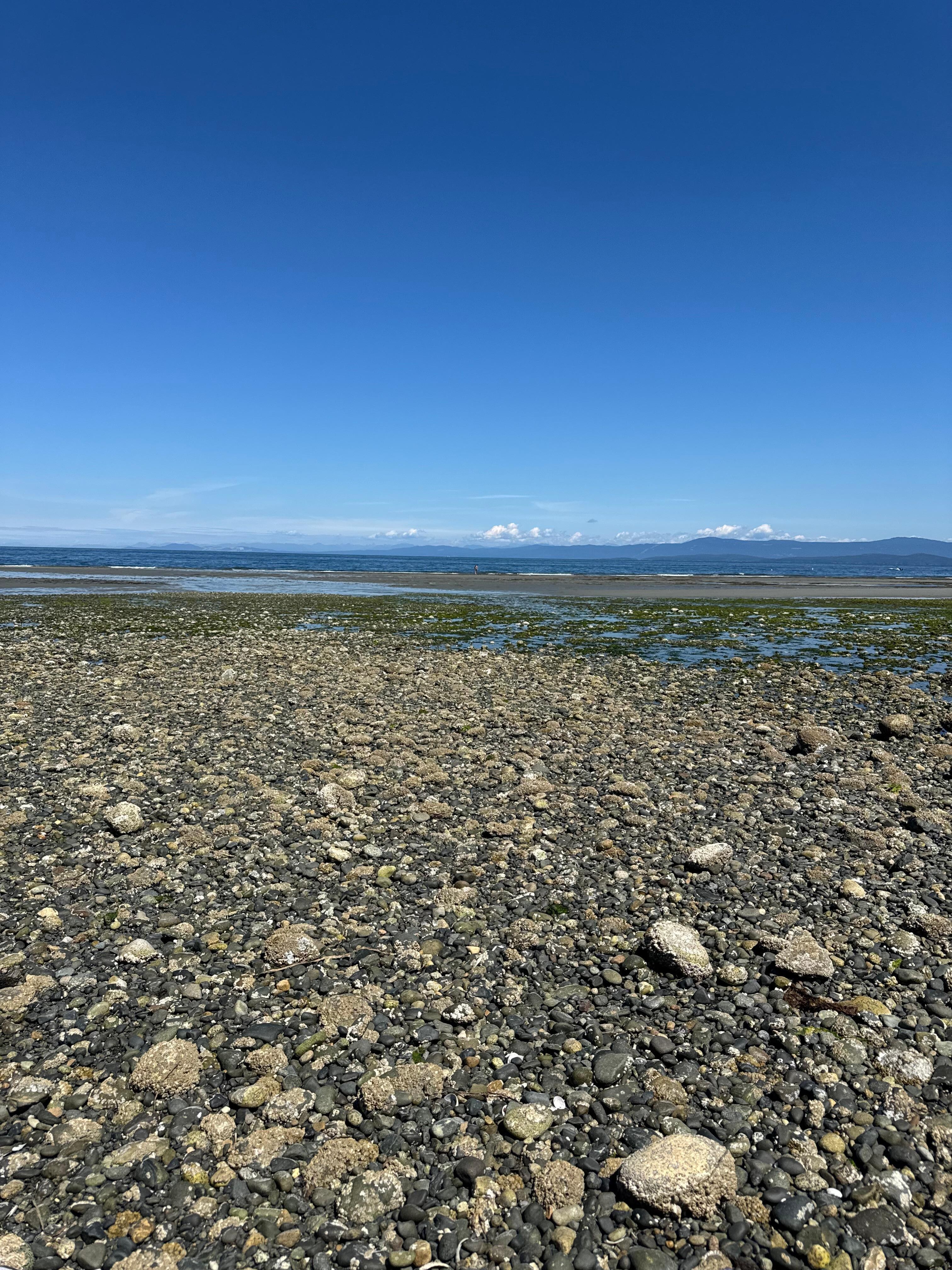 Beach was a 3 minute walk!