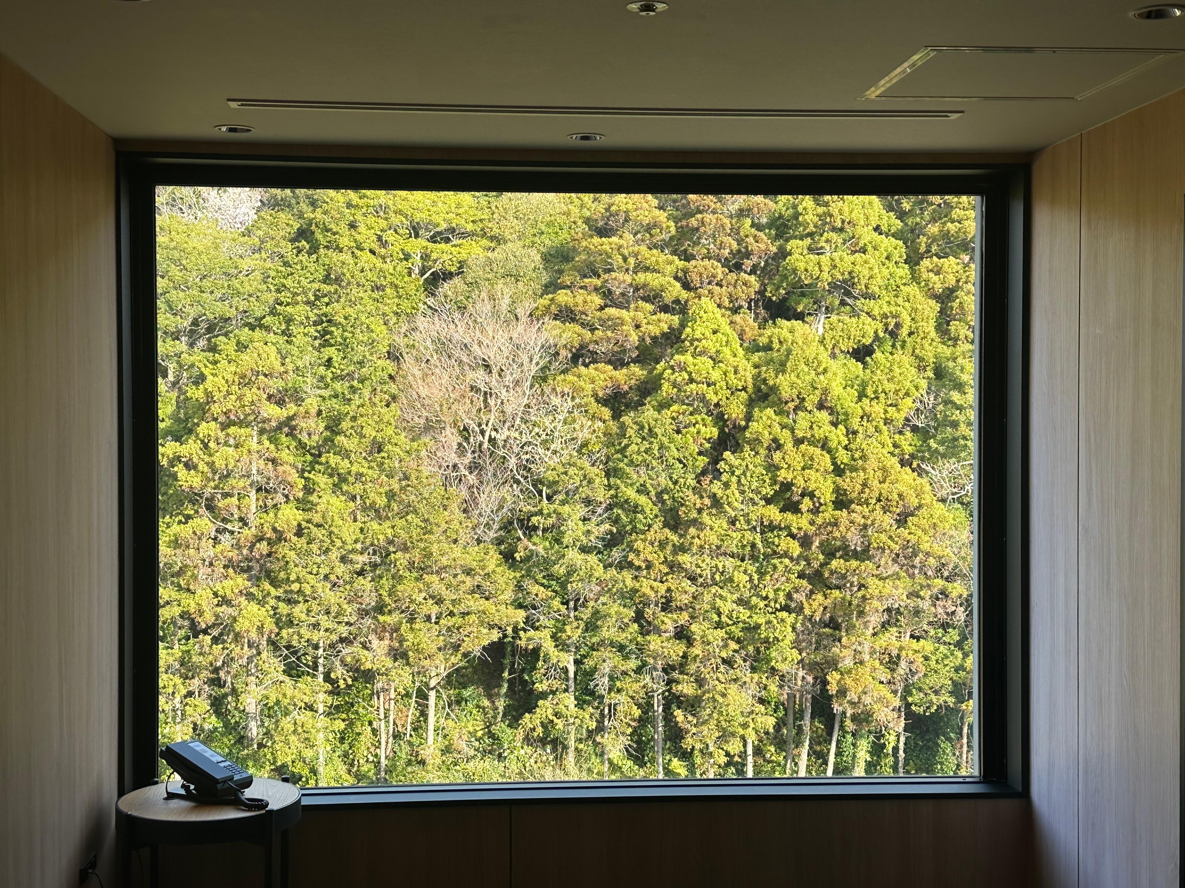 7階エレベーター前からの風景