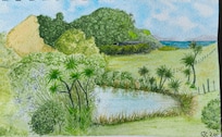 My pen and watercolour of the view