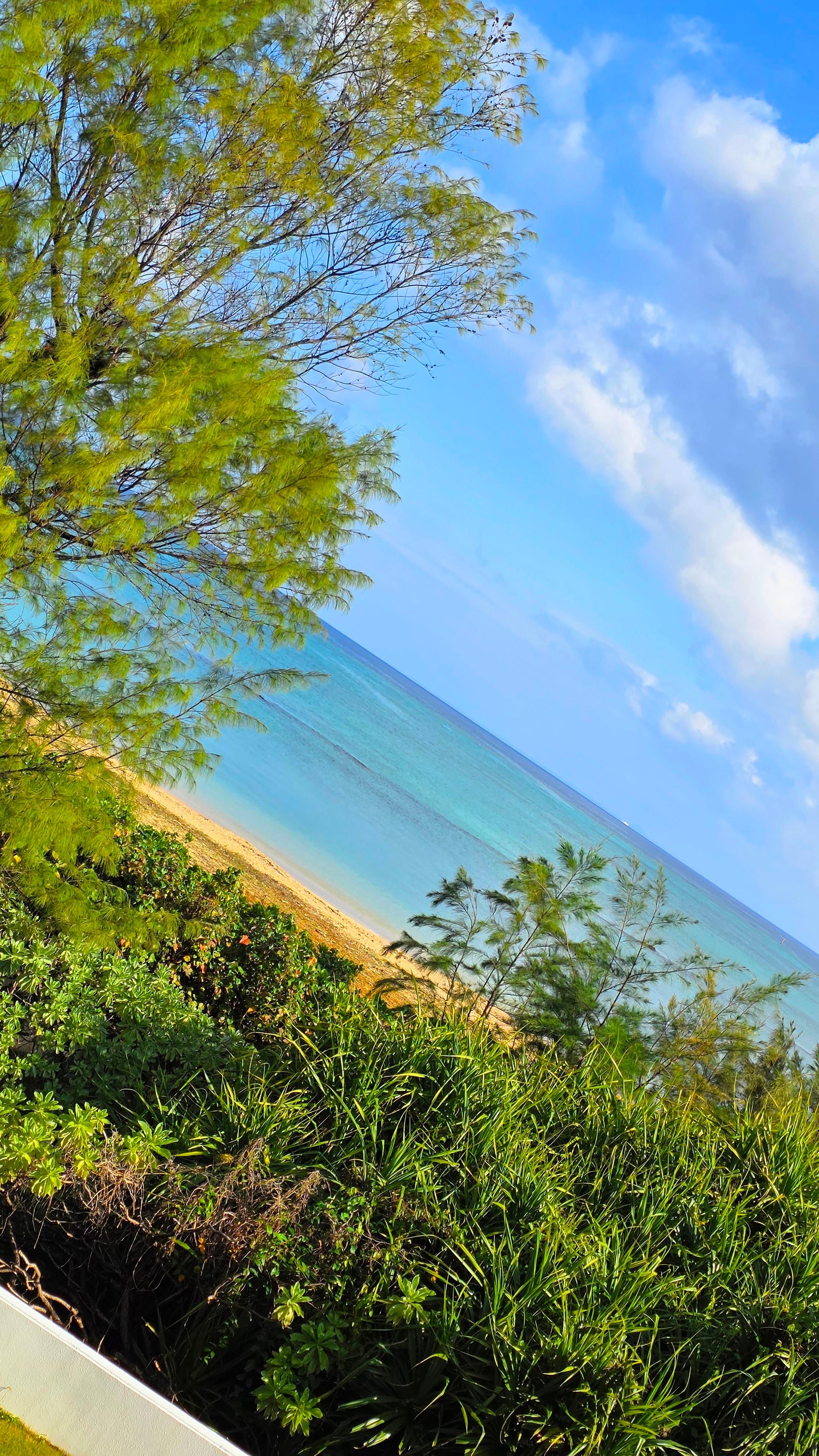 2階の部屋からの景色。