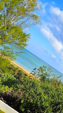 2階の部屋からの景色。