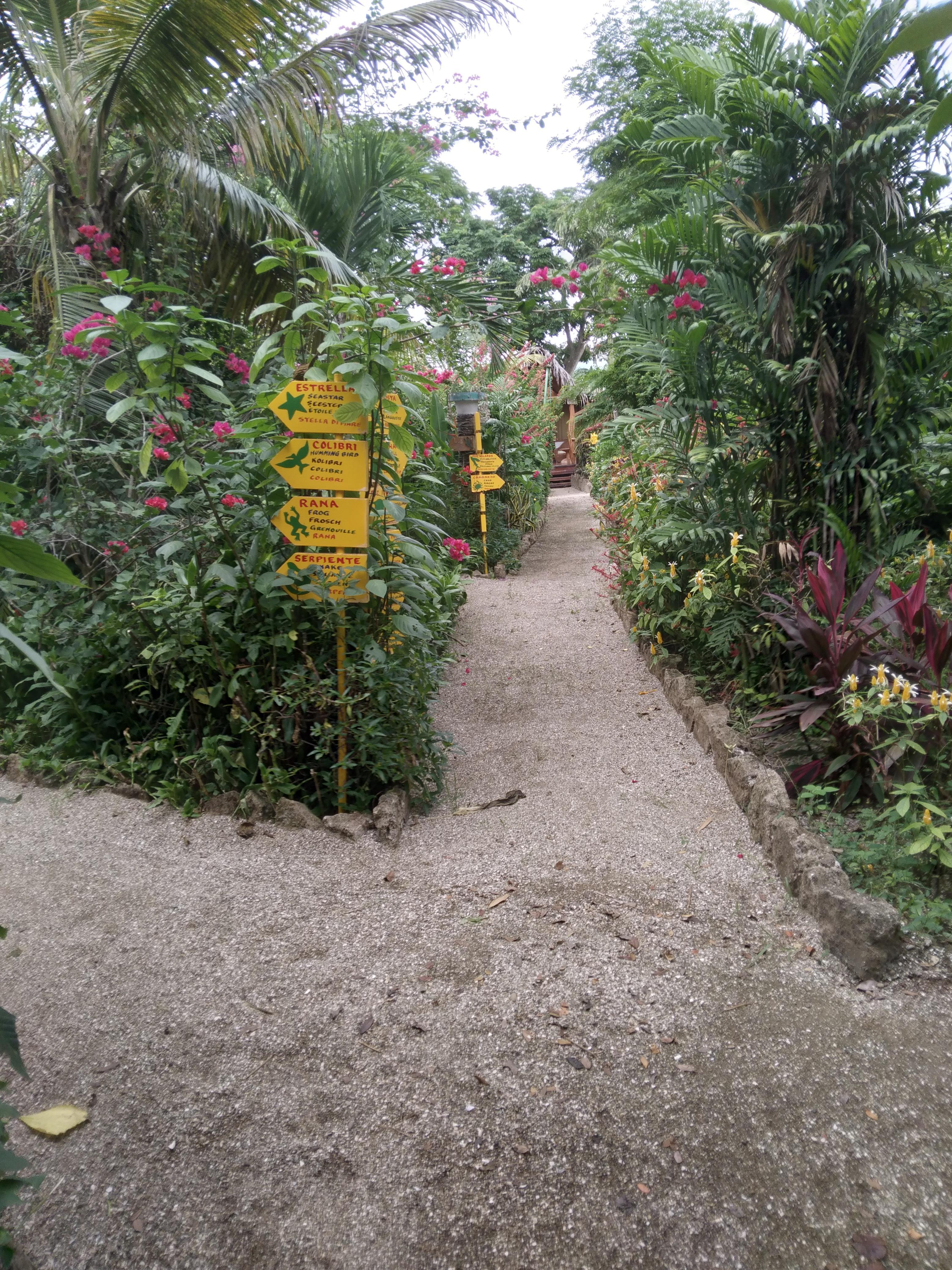 Path between the various cabins