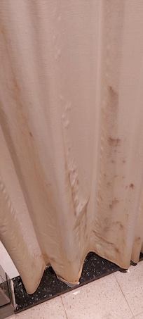 Shower curtain with mold
