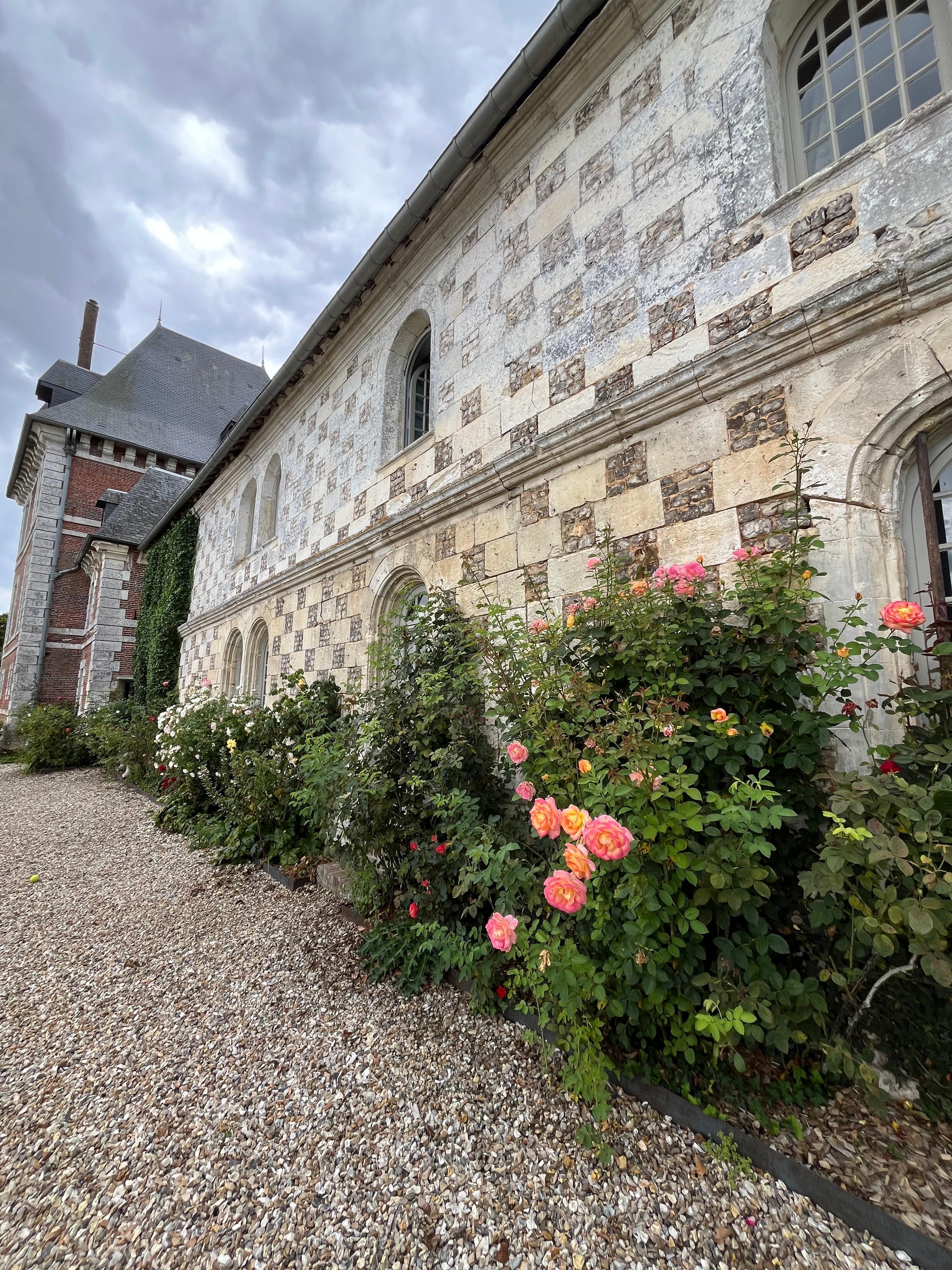 Rosiers devant le château 