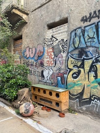 All-inclusive kattehotel i en gade i nærheden.