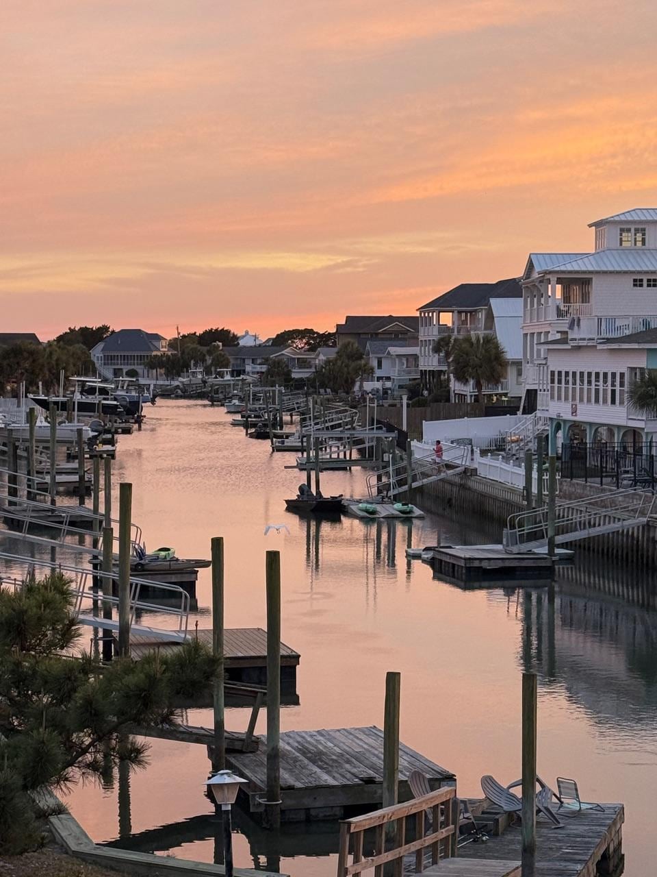 taken from the back porch