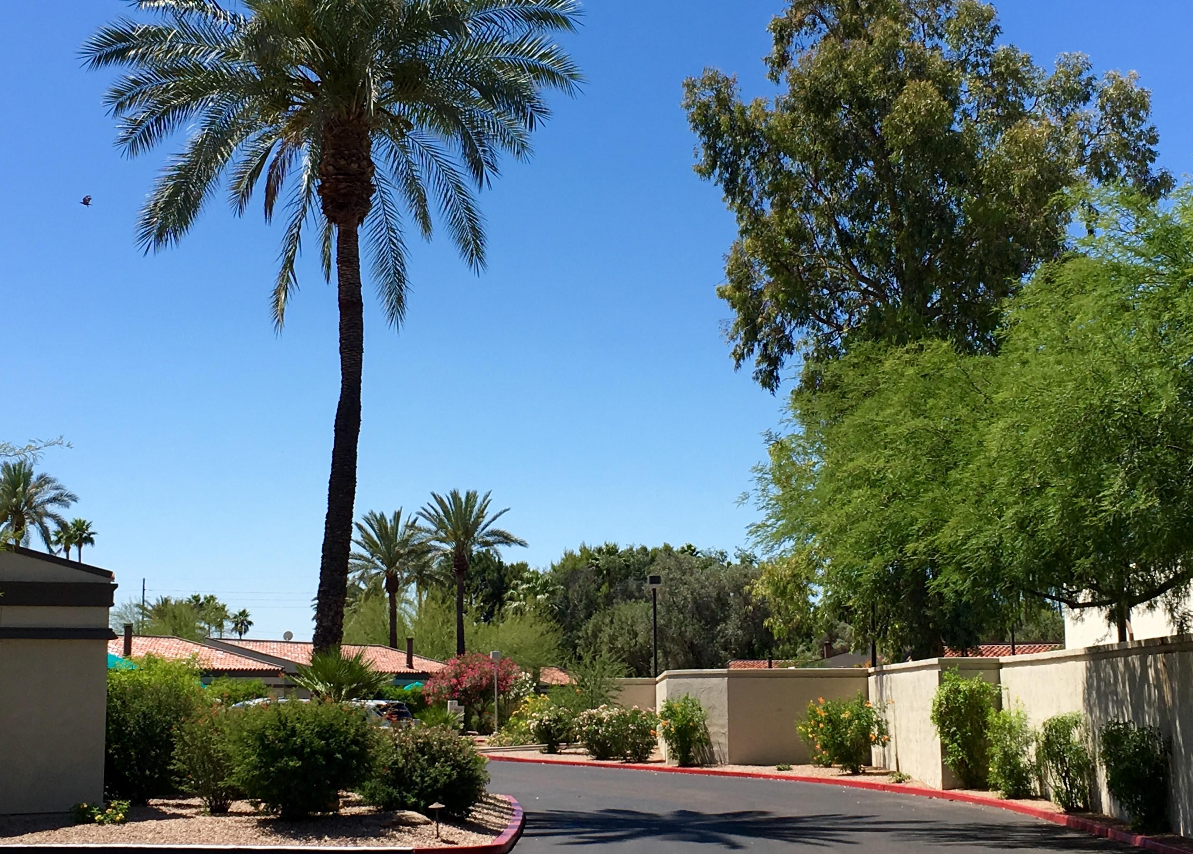 Hilton Villas
