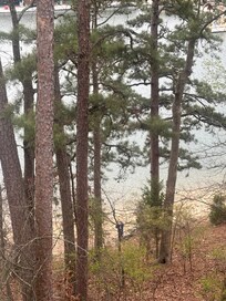 Walk down to the lake