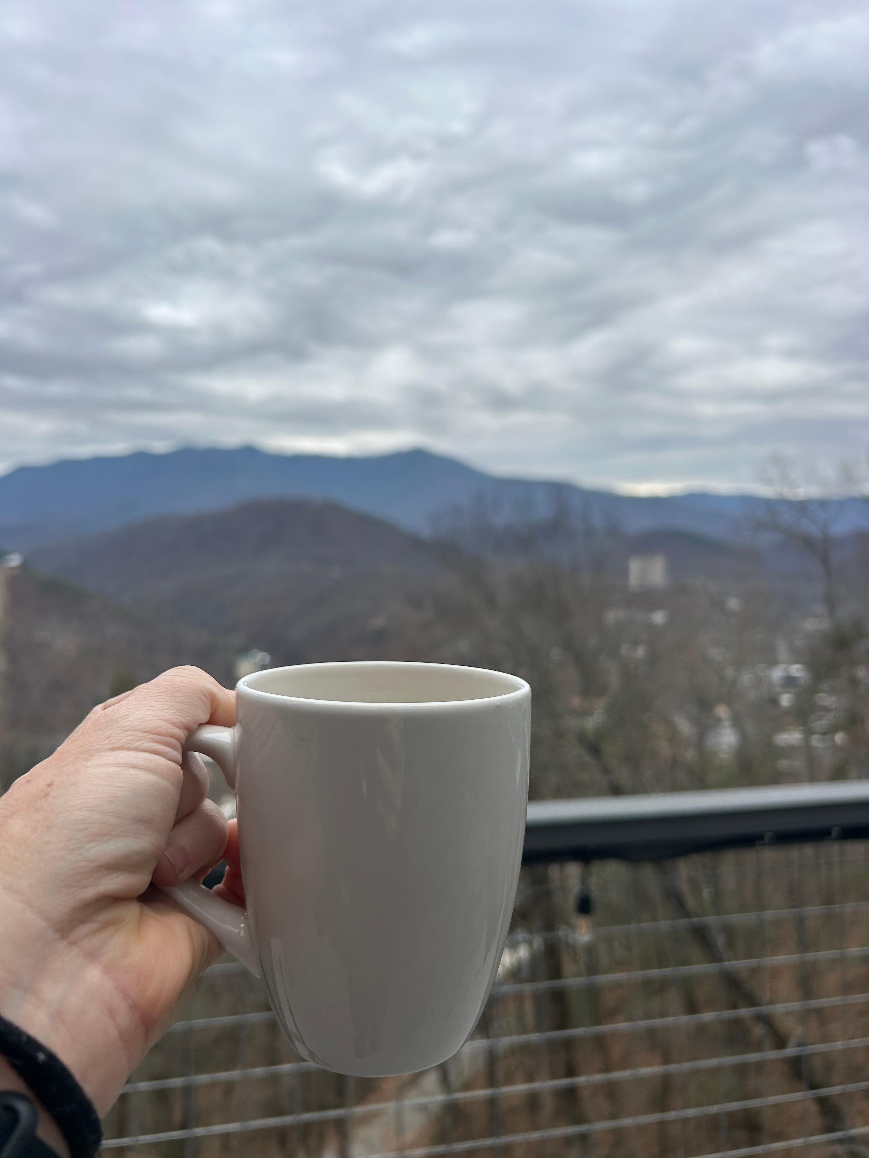 Back porch on main level