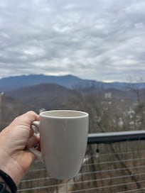 Back porch on main level