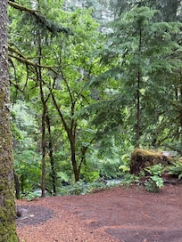 Fantastic hiking trails everywhere!