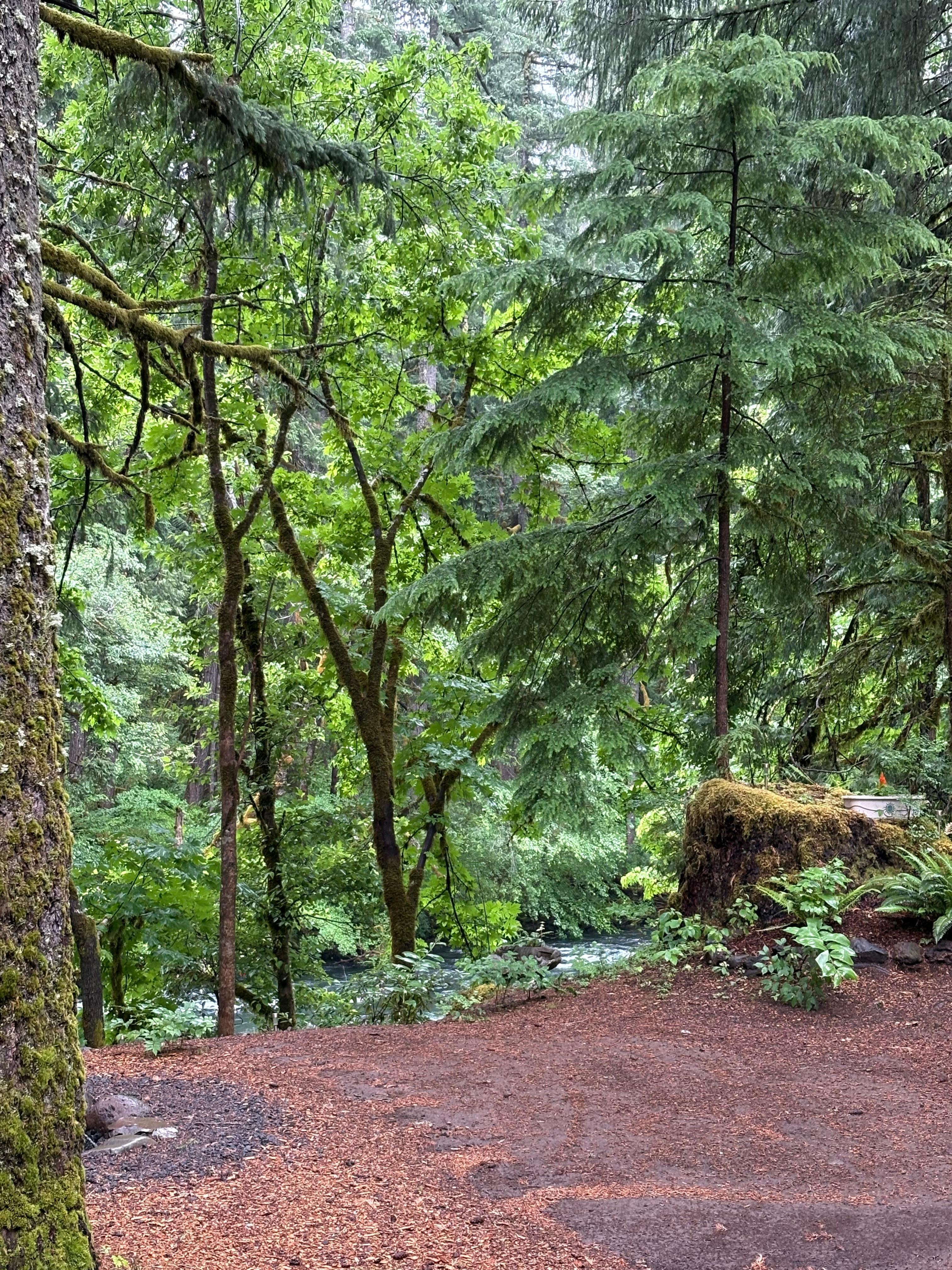 Fantastic hiking trails everywhere!