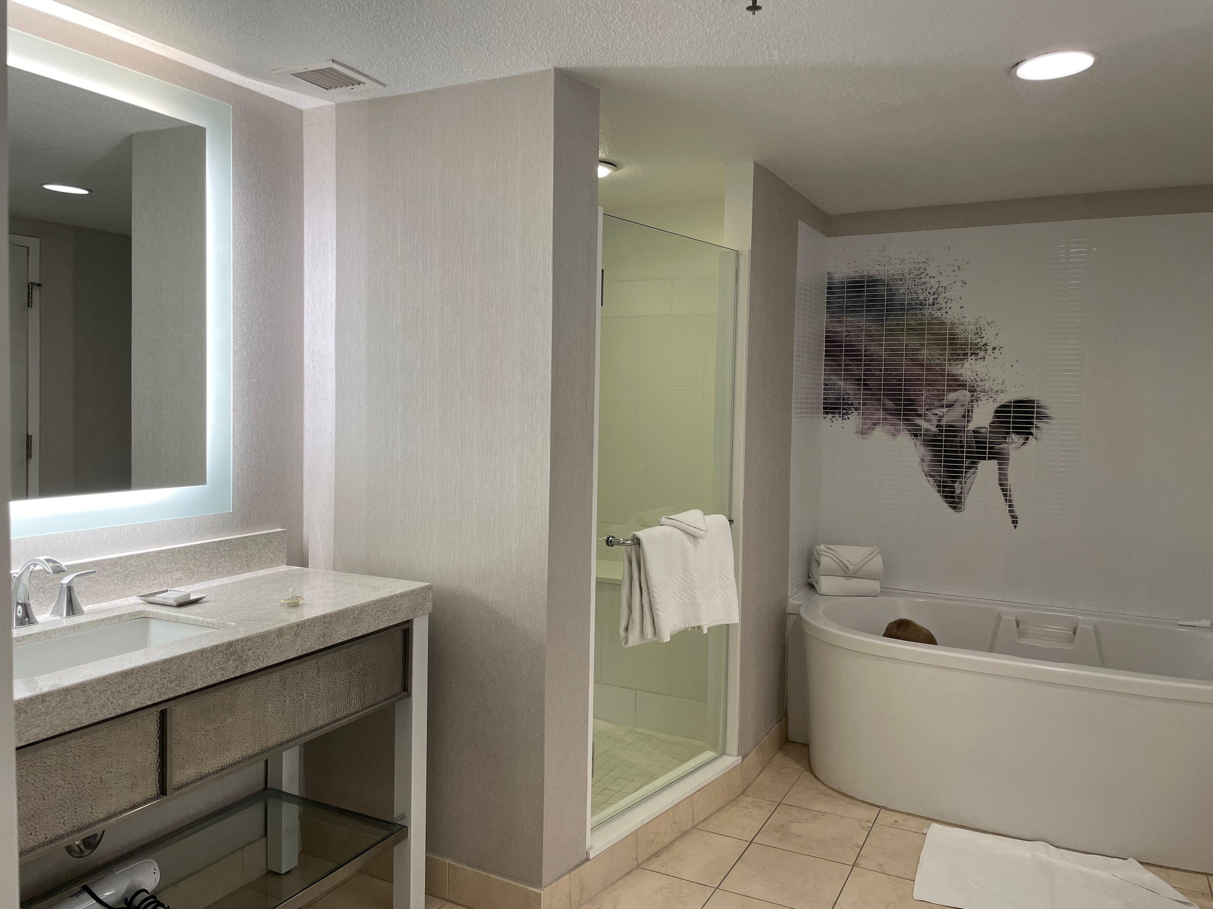 The bathroom 