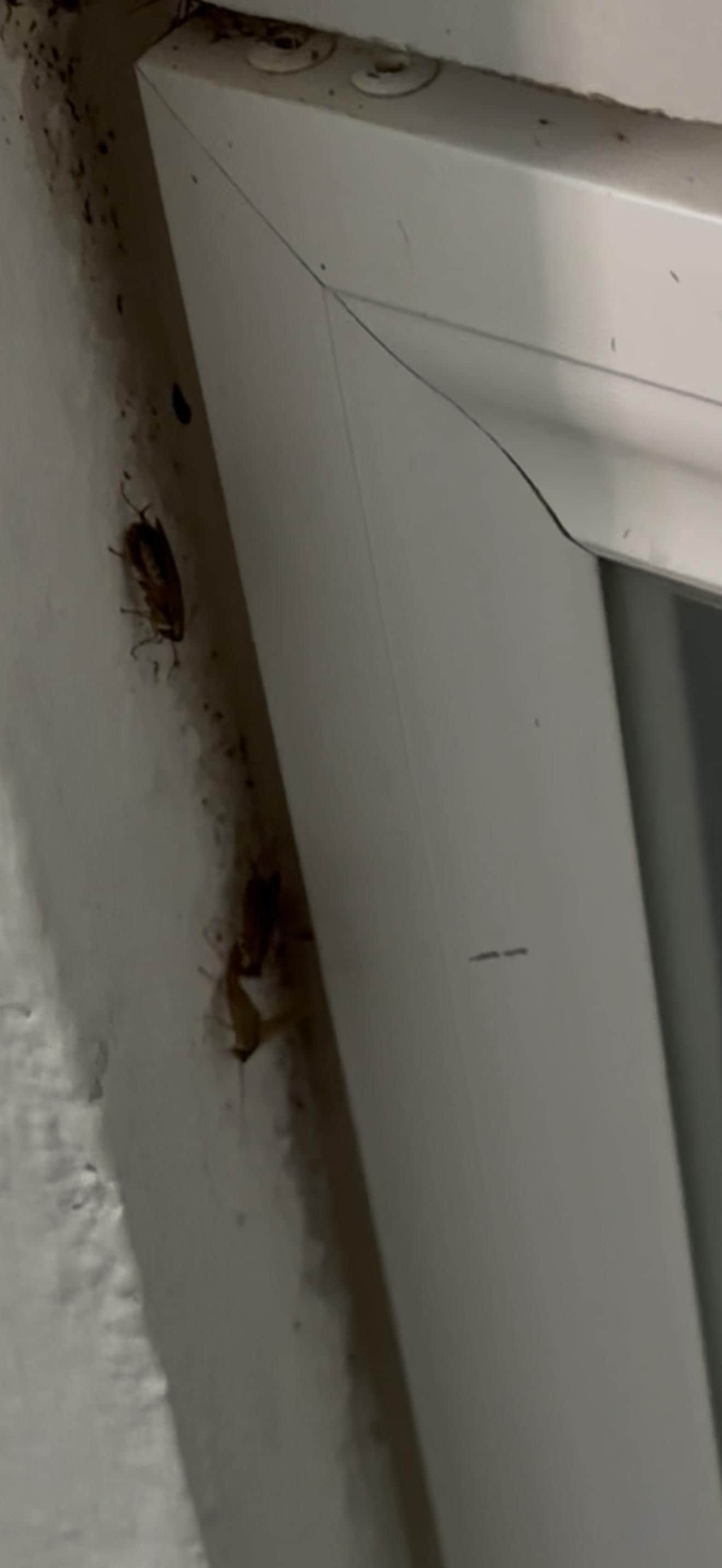 In kitchen between wall and cabinet crack