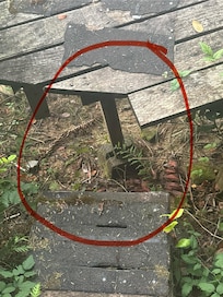 Missing board from steps onto game way to lower dock