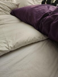 Purple pillow is mine from home.