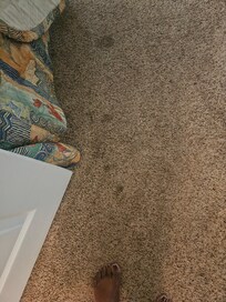 Dirty nasty carpet