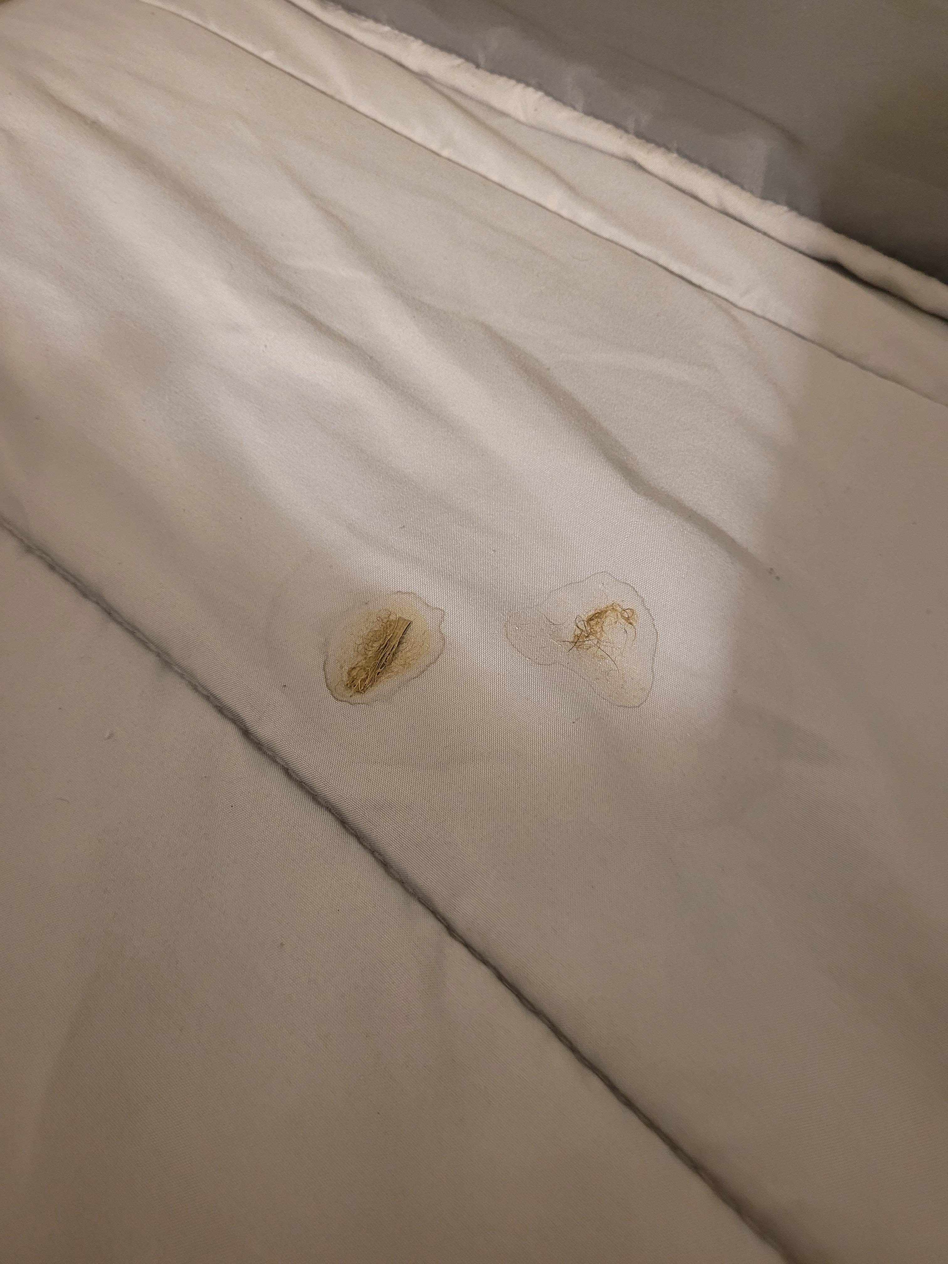Whatever substance that was on the bed when we arrived. 