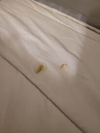 Whatever substance that was on the bed when we arrived.