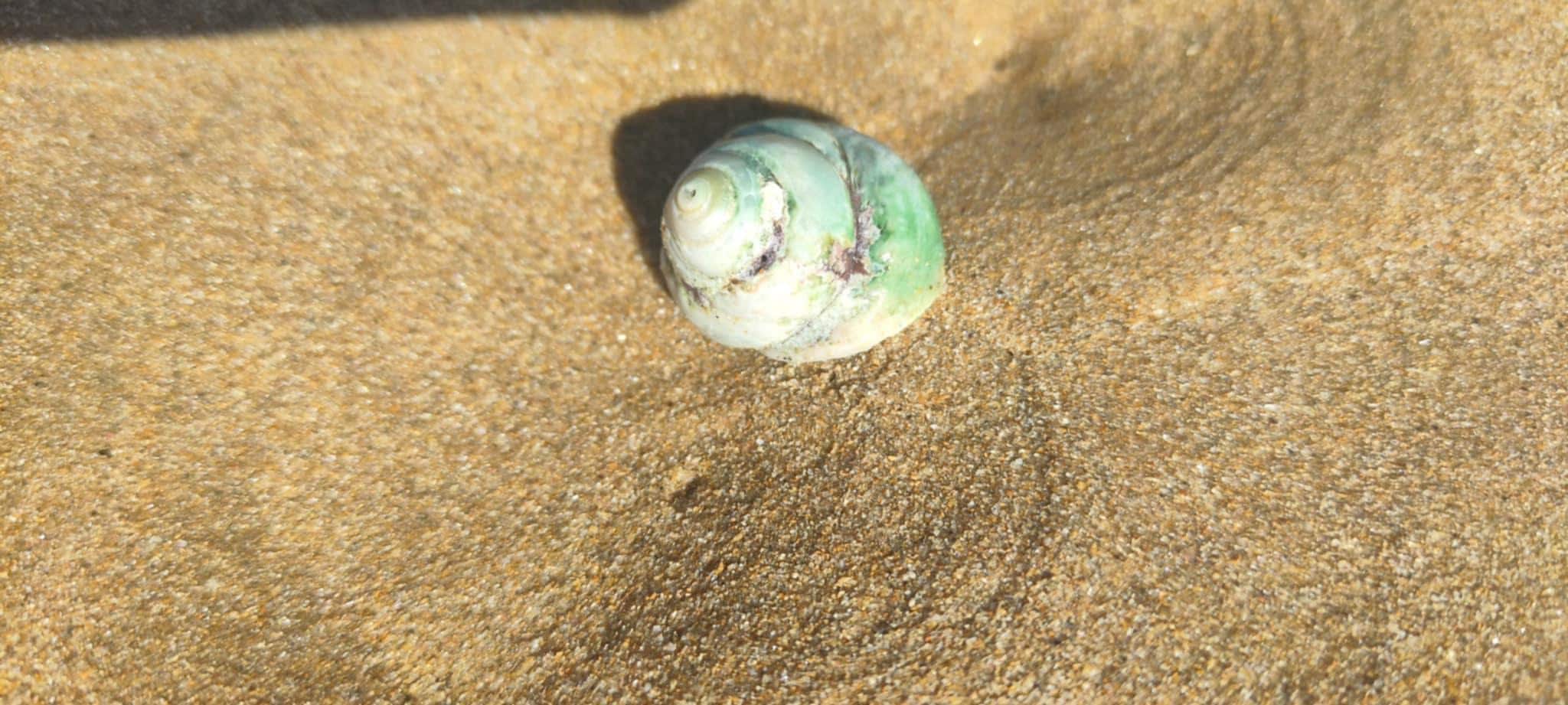 Plage des demoiselles 