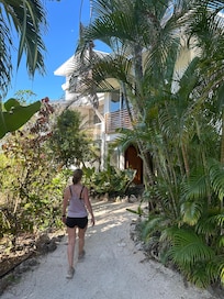 Front "jungle" entrance