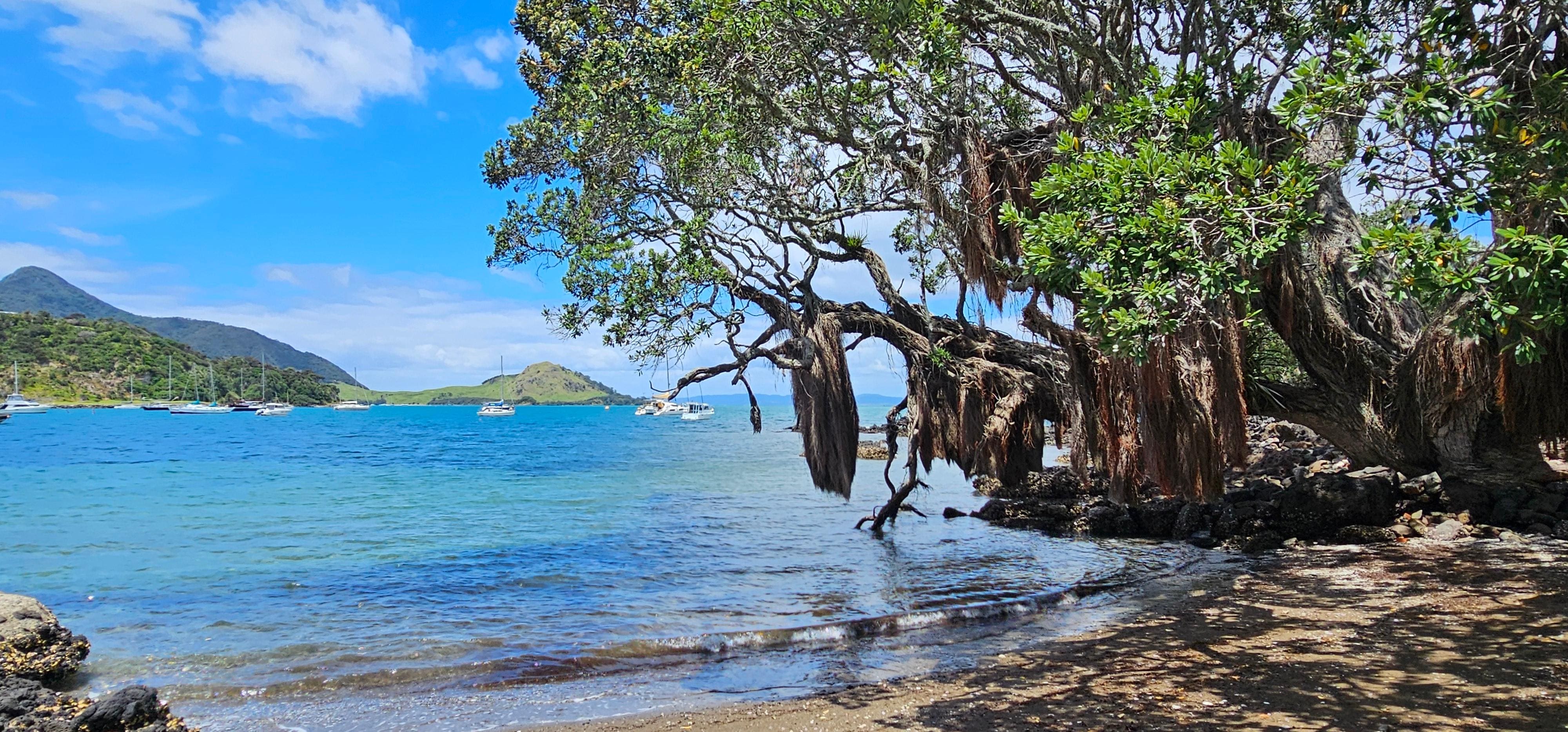 fabulous swimming spot.