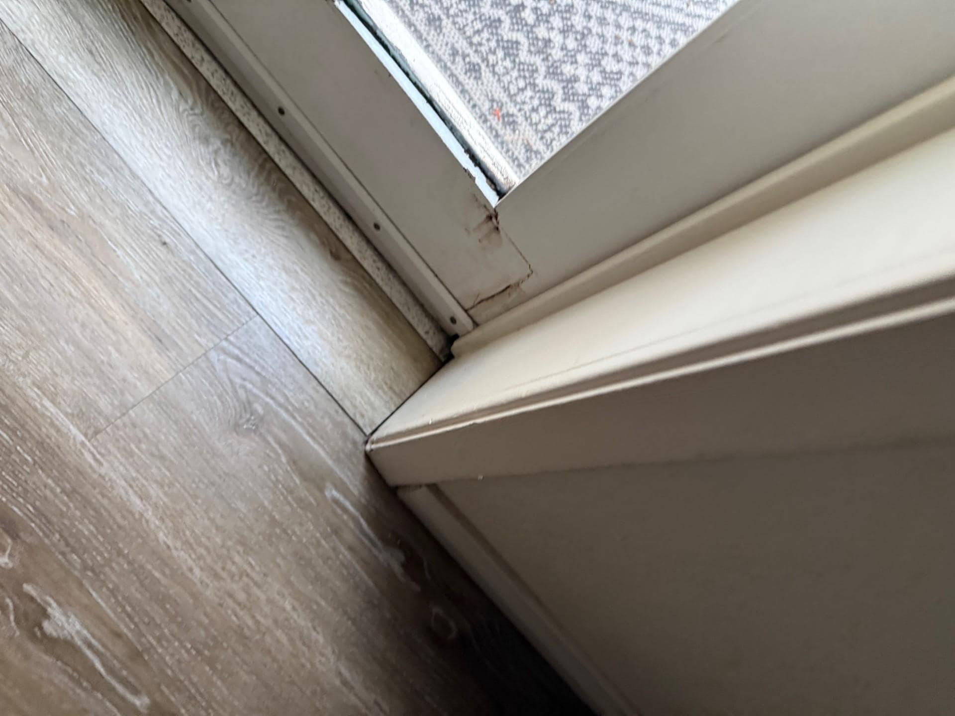 mold 