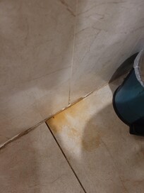 Sujeira no banheiro