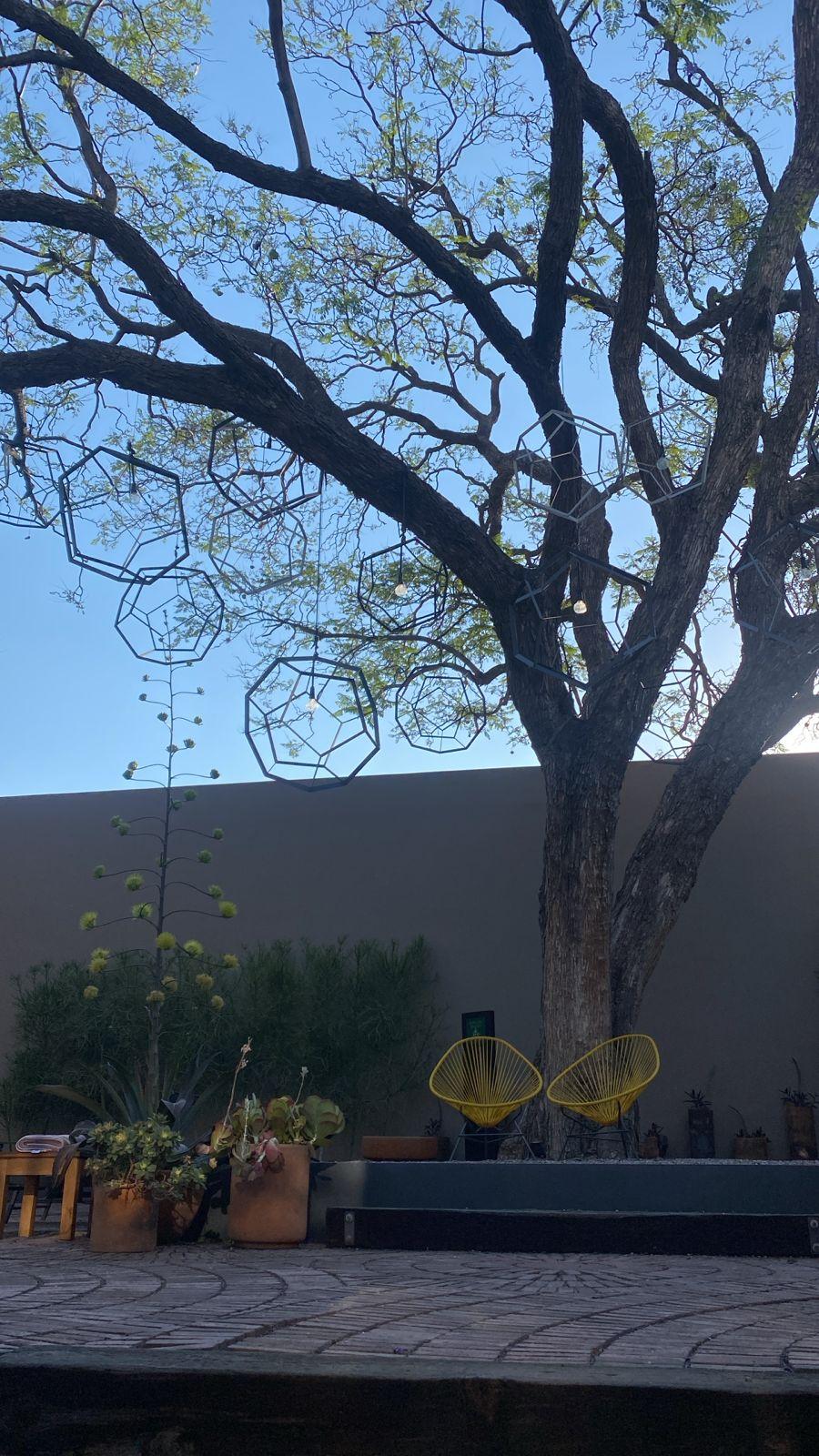 jardín