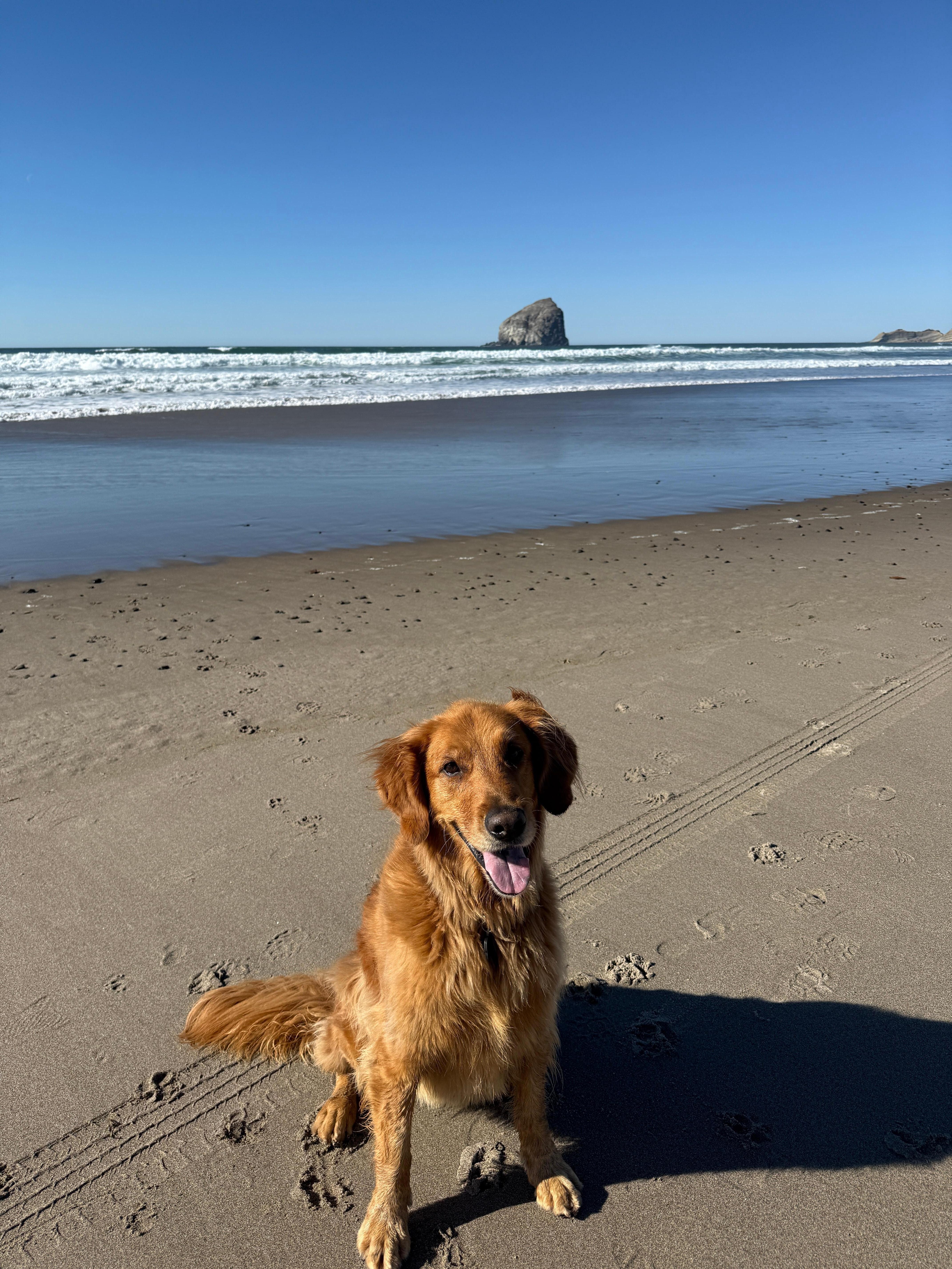 Such a beautiful beach! 