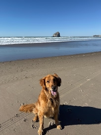 Such a beautiful beach!
