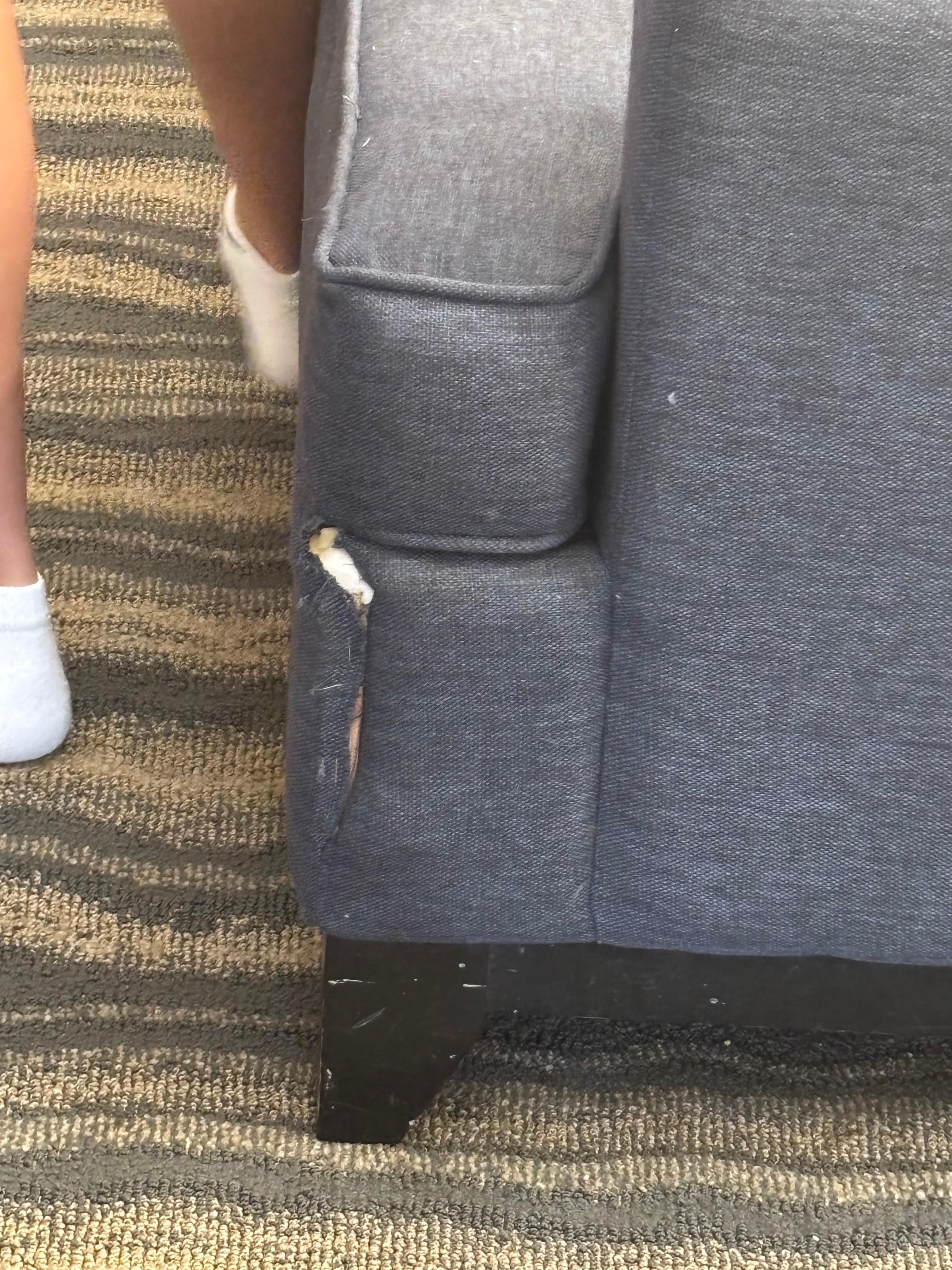Ripped couches